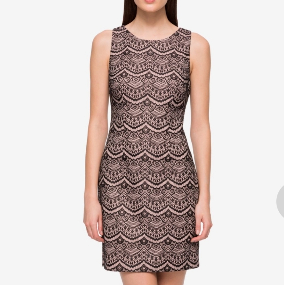 GUESS Womens Lace Sleeveless Jewel Neck Short Cocktail Sheath Dress Size 12 NWT